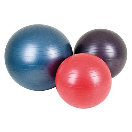 AGM GROUP AGM Group 38103 29.53 in. Fitness Ball - Dark Blue 38103
